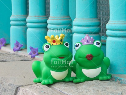 Fair Trade Photo Animals, Couple, Cute, Frog, Love, Marriage, Prince, Princess, Together, Wedding