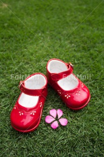 Fair Trade Photo Birth, Closeup, Colour image, Girl, Grass, Horizontal, New baby, People, Peru, Red, Shoe, Shooting style, South America, Vertical