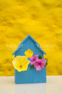 Fair Trade Photo Birdhouse, Colour image, Flower, House, New home, Peru, South America, Vertical