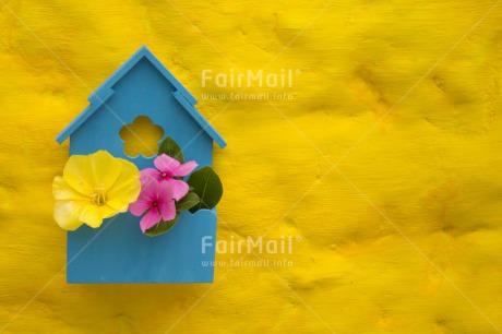Fair Trade Photo Birdhouse, Colour image, Flower, Horizontal, House, New home, Peru, South America