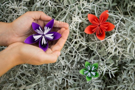 Fair Trade Photo Colour image, Condolence-Sympathy, Flower, Friendship, Horizontal, Mothers day, Peru, South America