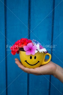 Fair Trade Photo Activity, Colour image, Cup, Flower, Friendship, Giving, Hand, Mothers day, Peru, Smile, South America, Thank you, Vertical