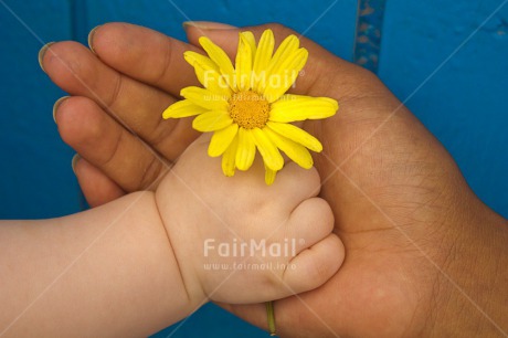 Fair Trade Photo Baby, Blue, Colour image, Flower, Gift, Hand, Hands, Horizontal, Mother, Mothers day, New baby, People, Peru, South America, Yellow