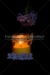 Fair Trade Photo Black, Candle, Colour image, Condolence-Sympathy, Flowers, Light, Night, Peace, Peru, Purple, Silence, South America, Vertical