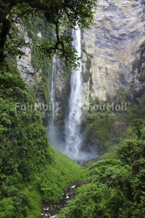 Fair Trade Photo Colour image, Day, Green, Nature, Outdoor, Peru, Scenic, South America, Travel, Vertical, Waterfall