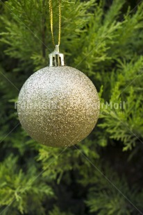 Fair Trade Photo Christmas ball, Colour image, Day, Gold, Green, Outdoor, Peru, Plant, South America, Tree, Vertical