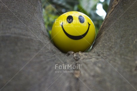Fair Trade Photo Closeup, Colour image, Congratulations, Day, Friendship, Green, Horizontal, Low angle view, Outdoor, Peru, Smile, Smiling, South America, Tree, Yellow