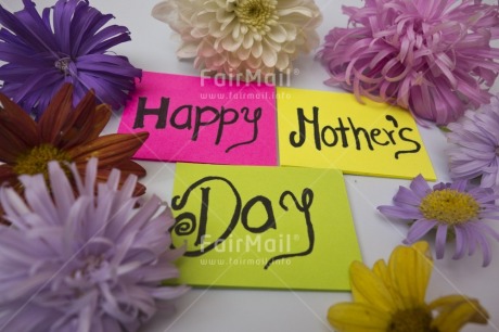 Fair Trade Photo Colour image, Flower, Horizontal, Indoor, Letter, Mothers day, Multi-coloured, Peru, South America, Studio