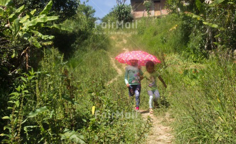 Fair Trade Photo Activity, Casual clothing, Clothing, Colour image, Day, Emotions, Friendship, Happiness, Horizontal, Outdoor, People, Peru, Running, Rural, Smiling, South America, Together, Two girls, Umbrella, Walking
