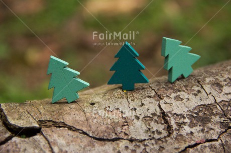 Fair Trade Photo Christmas, Colour image, Horizontal, Peru, South America, Tree