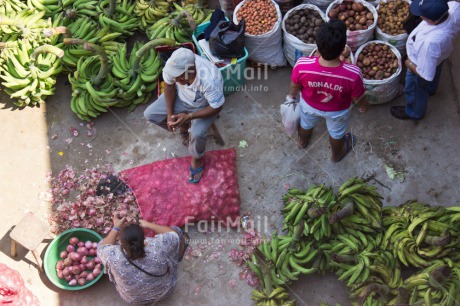 Fair Trade Photo Banana, Colour image, Entrepreneurship, Food and alimentation, Fruits, High angle view, Horizontal, Market, Onion, Selling