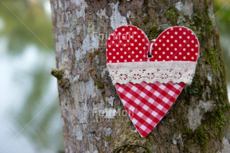 Fair Trade Photo Closeup, Colour image, Heart, Horizontal, Love, Red, Shooting style, Valentines day, Vintage, White