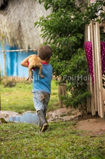 Fair Trade Photo Activity, Animals, Carrying, Colour image, Cute, Dog, Friendship, One boy, People, Peru, Puppy, Rural, South America, Streetlife, Vertical