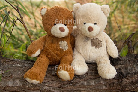 Fair Trade Photo Colour image, Cute, Friendship, Horizontal, Love, Peru, South America, Teddybear, Together