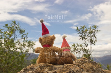 Fair Trade Photo Christmas, Colour image, Horizontal, Peru, South America, Teddybear