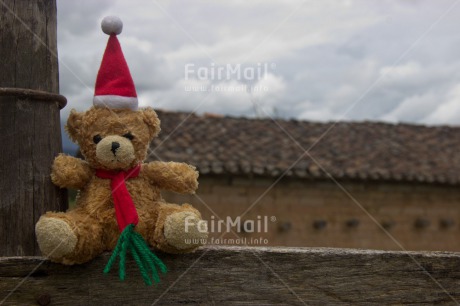 Fair Trade Photo Christmas, Colour image, Cute, Hat, Horizontal, Peru, South America, Teddybear