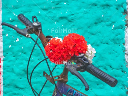 Fair Trade Photo Bicycle, Blue, Colour image, Fathers day, Flowers, Holiday, Horizontal, Peru, Red, Seasons, South America, Summer, Thank you, Transport, Valentines day, White