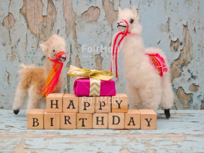 Fair Trade Photo Animals, Birthday, Cake, Colour image, Gift, Horizontal, Indoor, Letters, Llama, Peru, South America, Text, Wood