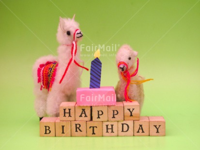 Fair Trade Photo Animals, Birthday, Cake, Candle, Colour image, Gift, Horizontal, Indoor, Letters, Llama, Peru, South America, Text, Wood