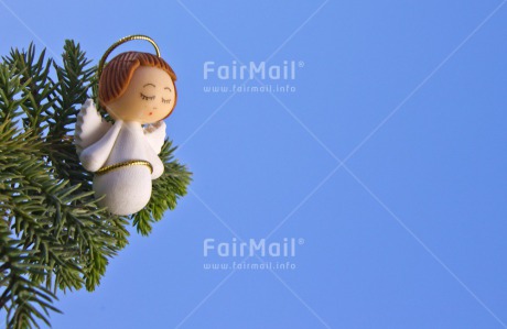 Fair Trade Photo Angel, Christmas, Colour image, Friendship, Green, Horizontal, Peru, South America, Together, Tree, White