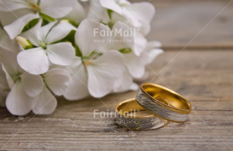 Fair Trade Photo Closeup, Colour image, Flower, Horizontal, Marriage, Peru, Ring, South America, Wedding, White