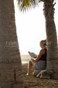 Fair Trade Photo Activity, Book, Colour image, Freedom, Holiday, One woman, Outdoor, Palmtree, Peace, People, Peru, Reading, Relaxing, South America, Travel, Vertical