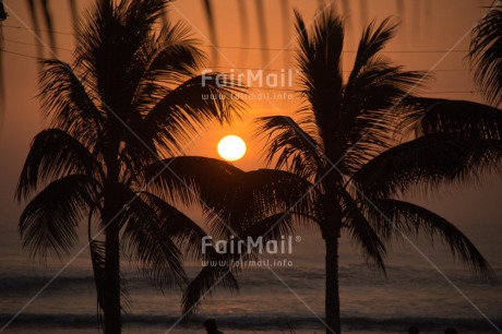 Fair Trade Photo Beach, Colour image, Holiday, Horizontal, Palmtree, Peru, Scenic, Sea, South America, Sunset, Travel