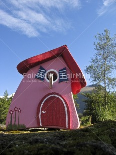 Fair Trade Photo Birdhouse, Colour image, Day, House, New home, Outdoor, Peru, Pink, Red, Rural, Seasons, Sky, South America, Summer, Tree, Vertical, Welcome home