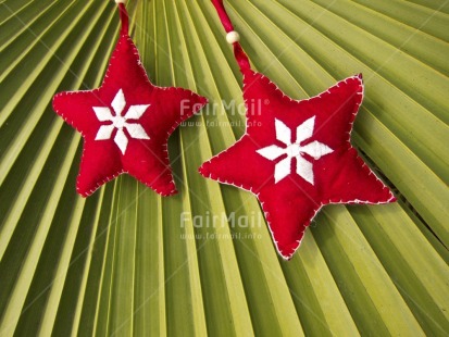 Fair Trade Photo Christmas, Colour image, Focus on foreground, Fullframe, Green, Horizontal, Outdoor, Peru, Red, South America, Star, Tabletop