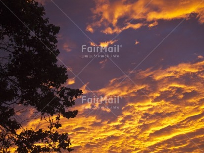 Fair Trade Photo Clouds, Colour image, Evening, Horizontal, Outdoor, Peru, Scenic, Sky, South America, Sunset, Travel, Tree