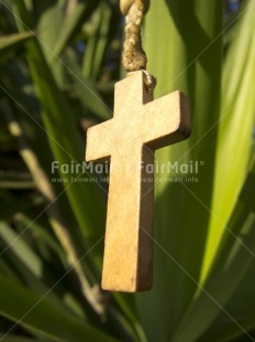Fair Trade Photo Christianity, Colour image, Cross, Day, Outdoor, Peru, Plant, South America, Vertical