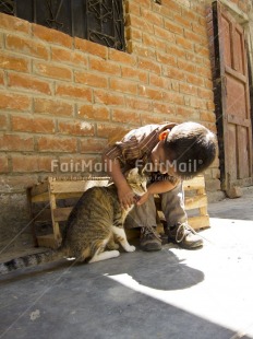 Fair Trade Photo Activity, Animals, Care, Cat, Colour image, Day, One boy, Outdoor, People, Peru, Portrait fullbody, Responsibility, Sitting, South America, Street, Streetlife, Values, Vertical