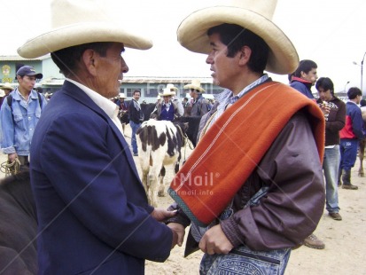 Fair Trade Photo Animals, Business, Colour image, Cooperation, Cow, Dailylife, Entrepreneurship, Friendship, Group of men, Horizontal, Market, Multi-coloured, Outdoor, People, Peru, Portrait halfbody, Rural, Selling, Sombrero, South America