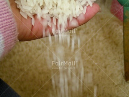 Fair Trade Photo Colour image, Day, Food and alimentation, Good luck, Hand, Horizontal, Indoor, Marriage, Moving, Peru, Rice, South America, White