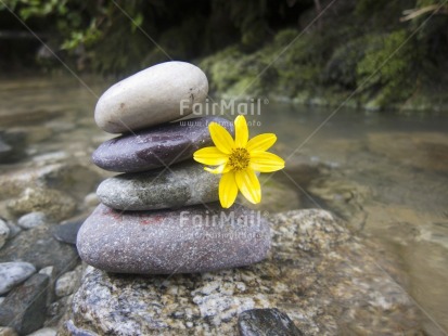 Fair Trade Photo Balance, Colour image, Flower, Focus on foreground, Horizontal, Nature, Outdoor, Peru, River, South America, Spirituality, Stone, Tabletop, Thinking of you, Water, Wellness, Yellow