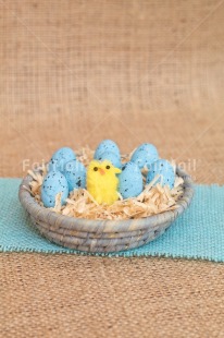 Fair Trade Photo Adjective, Animals, Chick, Easter, Egg, Food and alimentation, Male, Nest, New baby, Object, People, Vertical