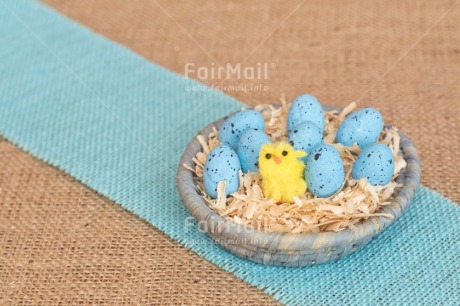 Fair Trade Photo Adjective, Animals, Chick, Easter, Egg, Food and alimentation, Horizontal, Male, Nest, New baby, Object, People