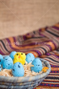 Fair Trade Photo Adjective, Animals, Chick, Easter, Egg, Food and alimentation, Nest, New baby, Object, Peruvian textile, Vertical