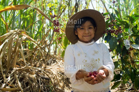 Fair Trade Photo 5 -10 years, Activity, Agriculture, Coffee, Colour image, Farmer, Food and alimentation, Harvest, Hat, Latin, Looking at camera, One girl, People, Peru, Rural, Smiling, Sombrero, South America