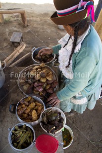 Fair Trade Photo Activity, Colour image, Cooking, Ethnic-folklore, Food and alimentation, High angle view, Pachamanca, Peru, Rural, South America, Vertical