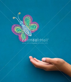 Fair Trade Photo Butterfly, Colour image, Condolence-Sympathy, Friendship, Get well soon, Good luck, Hand, Peru, South America, Vertical