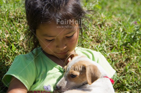 Fair Trade Photo Animals, Caring, Colour image, Cute, Day, Dog, Friendship, Horizontal, Love, One girl, Outdoor, People, Peru, Puppy, South America, Together