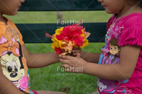 Fair Trade Photo Activity, Colour image, Cooperation, Cute, Day, Flower, Friendship, Garden, Horizontal, Latin, Outdoor, People, Peru, Playing, South America, Summer, Together, Two girls