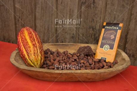 Fair Trade Photo Agriculture, Cacao, Chocolate, Fair trade, Food and alimentation