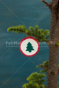 Fair Trade Photo Christmas, Christmas ball, Closeup, Colour image, Peru, Shooting style, South America, Star, Tree, Vertical