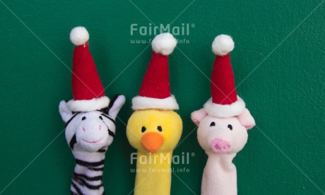 Fair Trade Photo Animals, Christmas, Colour image, Funny, Hat, Horizontal, Peru, South America
