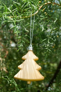 Fair Trade Photo Christmas, Colour image, Gold, Green, Peru, South America, Tree, Vertical
