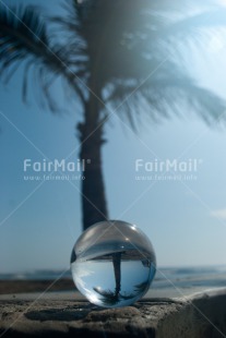 Fair Trade Photo Artistique, Colour image, Glass, Peru, South America, Transparency, Transparent, Tree, Vertical