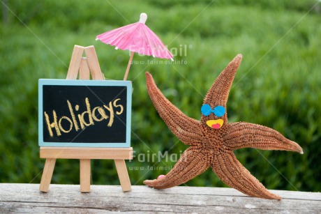 Fair Trade Photo Colour image, Holiday, Horizontal, Starfish, Summer, Umbrella