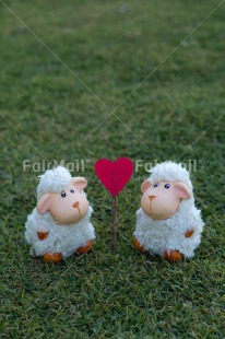 Fair Trade Photo Animals, Colour image, Grass, Green, Heart, Love, Marriage, Peru, Red, Sheep, South America, Valentines day, Vertical, Wedding